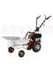 Eurosystems P55 - Petrol Brush Cutter - Falciatutto PRO V2 - Loncin 196 cc