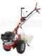 Eurosystems P55 - Petrol Brush Cutter - Falciatutto PRO V2 - Loncin 196 cc