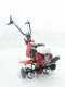Eurosystems Euro 5 EVO 2+1 - 5.5 HP Petrol Garden Tiller - Honda GX 160 