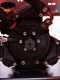 Tornado TOSCANA 400/51 - Tractor-mounted spray unit - 400 l - with tractor