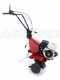 EuroSystems E5-EVO 2+1 S/R RM - 5 HP Petrol Garden Tiller - Honda GP 160 