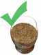 Ceccato Olindo Single-phase 3 Hp - Wood Pellet Machine for Heating Pellet Production
