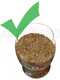 Ceccato Olindo Single-phase 3 Hp - Wood Pellet Machine for Heating Pellet Production