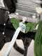 Agri 5 Garden Tiller with 75 cm Tiller - Loncin TM 60 Petrol OHV Engine - 1+1 Gears