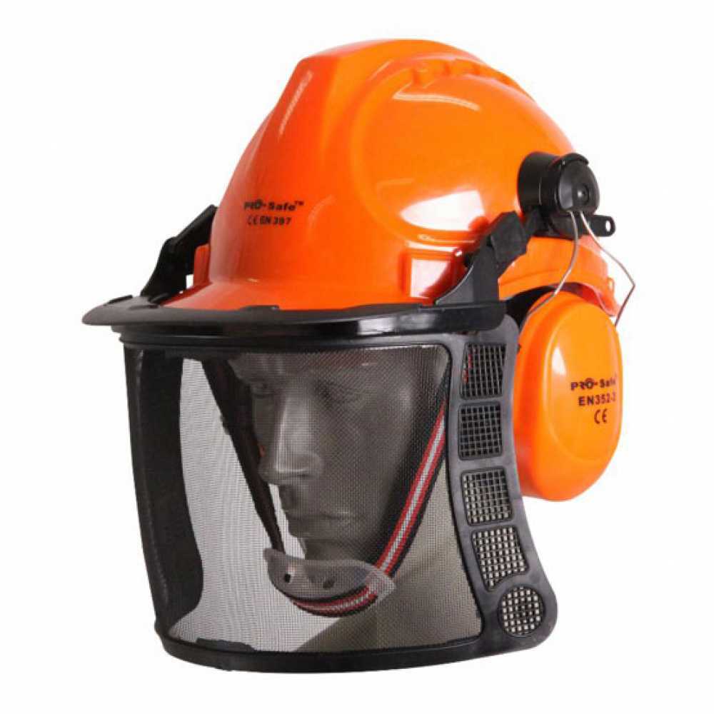 Safety Helmet with Earmuffs and Visor , best deal on AgriEuro
