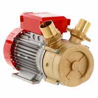 Transfer Pumps