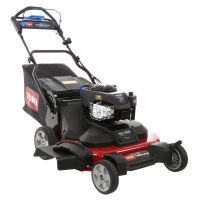 Lawn Mowers