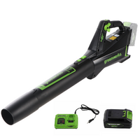 Leaf Blowers - Garden Vacuums