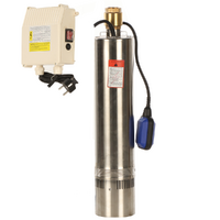 Electric Submersible Pumps