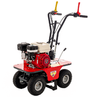Turf cutter