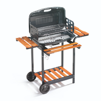 Grills and BBQs
