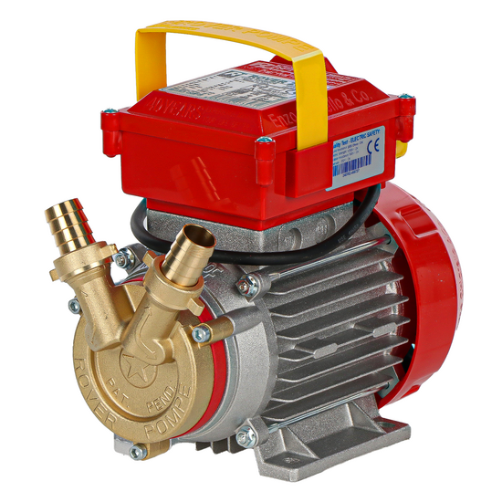 Rover 20 CE - Electric transfer pump in bronze - Single-phase - 230V