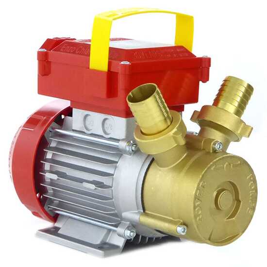 Rover 30 CE - Electric transfer pump in bronze - Single-phase - 230V