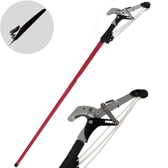 Ausonia - Ratchet cutter + saw on telescopic pole 170-310 cm