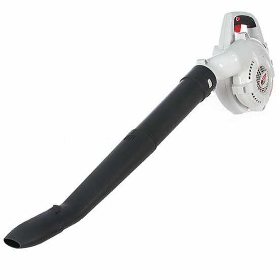 Topsun Battery-powered Leaf Blower - 36 V - 2 Ah Battery