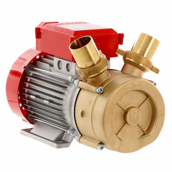 Rover 50 BE-M - Bronze electric transfer pump
