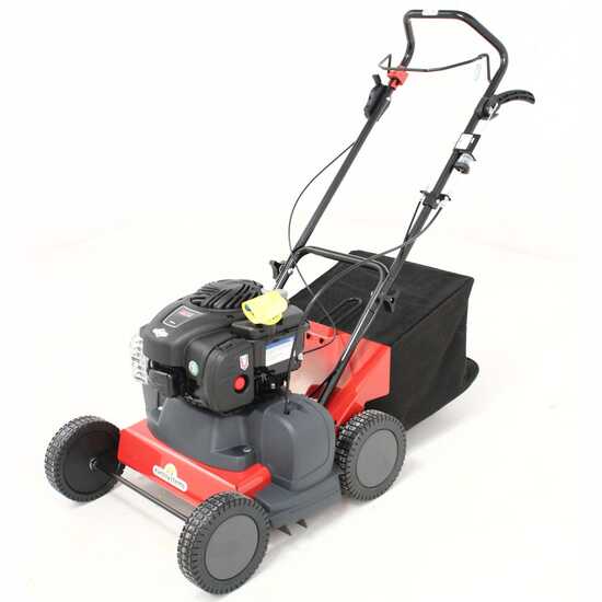 Eurosystems SC 42 B - Lawn Scarifier with Fixed Blades - B&amp;S 450 Engine