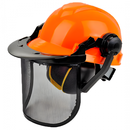 Professional Safety Helmet provided with visor and ear defenders