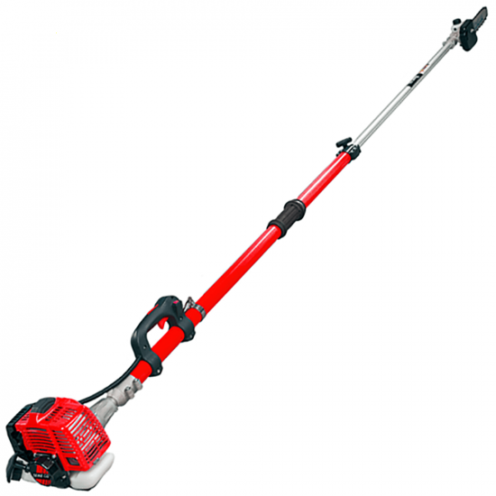 BlueBird PTT261 2-stroke Telescopic Pruner