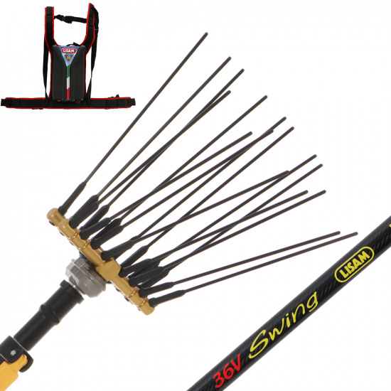 Lisam Swing 36V - Electric Battery-powered Olive Harvester - Telescopic Pole - 36V 30Ah Battery