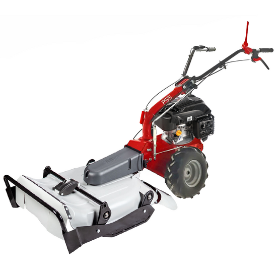 Eurosystems P55 - Petrol Brush Cutter - Falciatutto PRO - Rato RV200