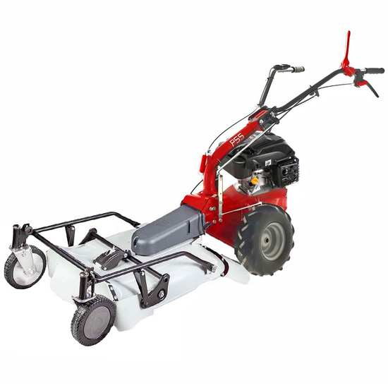 Eurosystems P55 - Petrol Brush Cutter - Falciatutto PRO V2 - Rato RV200