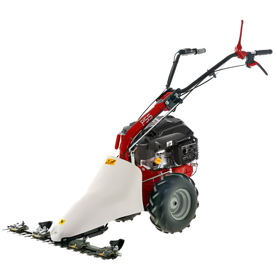 Eurosystems P55 - Multifunctional Two-Blade Mower - Rato RV200