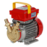 Rover 20 CE - Electric bronze transfer pump