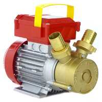 Rover 30 CE - Bronze electric transfer pump - Single-phase - 230V