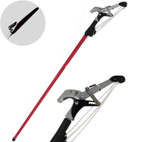 Ausonia - Ratchet cutter + saw on telescopic pole 170-310 cm