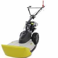 Eurosystems TM 70 RB EVO - Petrol Rough Cut Mower - Blade - B&amp;S 850E I/C