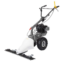 Eurosystems TM70RB - Multifunctional twin-blade mower - B&amp;S 850E I/C