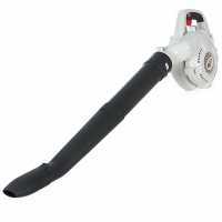 Topsun Battery-powered Leaf Blower - 36 V - 2 Ah Battery