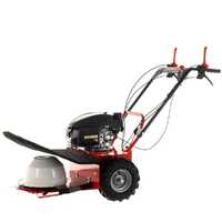 Blue Bird Alhambra TS PRO H0 - Motor mowers with rotary blades - Honda GCV 200