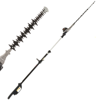 Zanon Raptor 600 Hedge Trimmer on Telescopic Extension Pole - BATTERY AND BATTERY CHARGER NOT INCLUDED