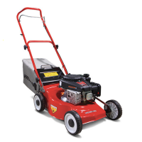 Weibang WB455HCOP Lawn Mower with a 139 cc Petrol Engine - 45 cm Cutting Width