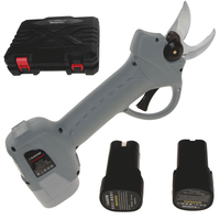 BlackStone BPS-25 Electric Pruning Shears - 2 batteries 2.6 Ah 16.8 V