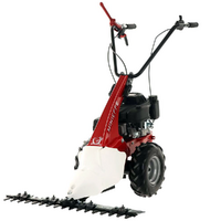 Eurosystem Minieffe - Multifunctional motor mower - Loncin L200 OHV
