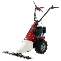 Eurosystems Minieffe RM - Multifunctional motor mower - Loncin L200 OHV