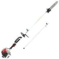 GeoTech GT-2 43 L 2-Stroke Pruner on Extension Pole - 43 cc
