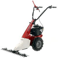 Eurosystems Minieffe M150 - Multifunctional motor mower - B&amp;S 625 EXi