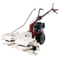 Eurosystems P55 Petrol Power Sweeper - Sweeper, Motor Brush