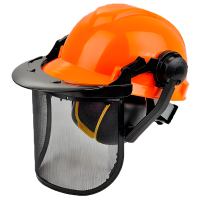 Professional Safety Helmet provided with visor and ear defenders