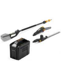 ALPINA AMT48Li kit Multi Tool Hedge Trimmer and Pruner on Extension Pole - 48 V 2Ah Battery