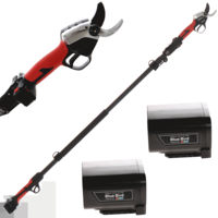 BlueBird PS 22-38 Electric Battery-operated Pruning Shears on extension pole - 21.6V - 2.5Ah