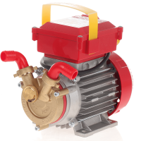 Rover 20 Electric Transfer Pump with By-Pass - 0.5 hp Single-phase Motor