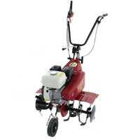 Eurosystems Euro 5 EVO - 5..5 HP Petrol Garden Tiller - Honda GP 160 Engine