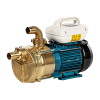 Tellarini EEM 40 - Brass Electric Transfer Pump