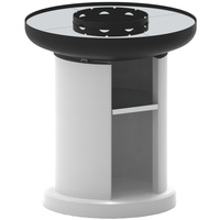 Palazzetti Apollo 90 - Masonry wood and charcoal barbecue