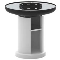 Palazzetti Apollo 110 - Masonry wood and charcoal barbecue